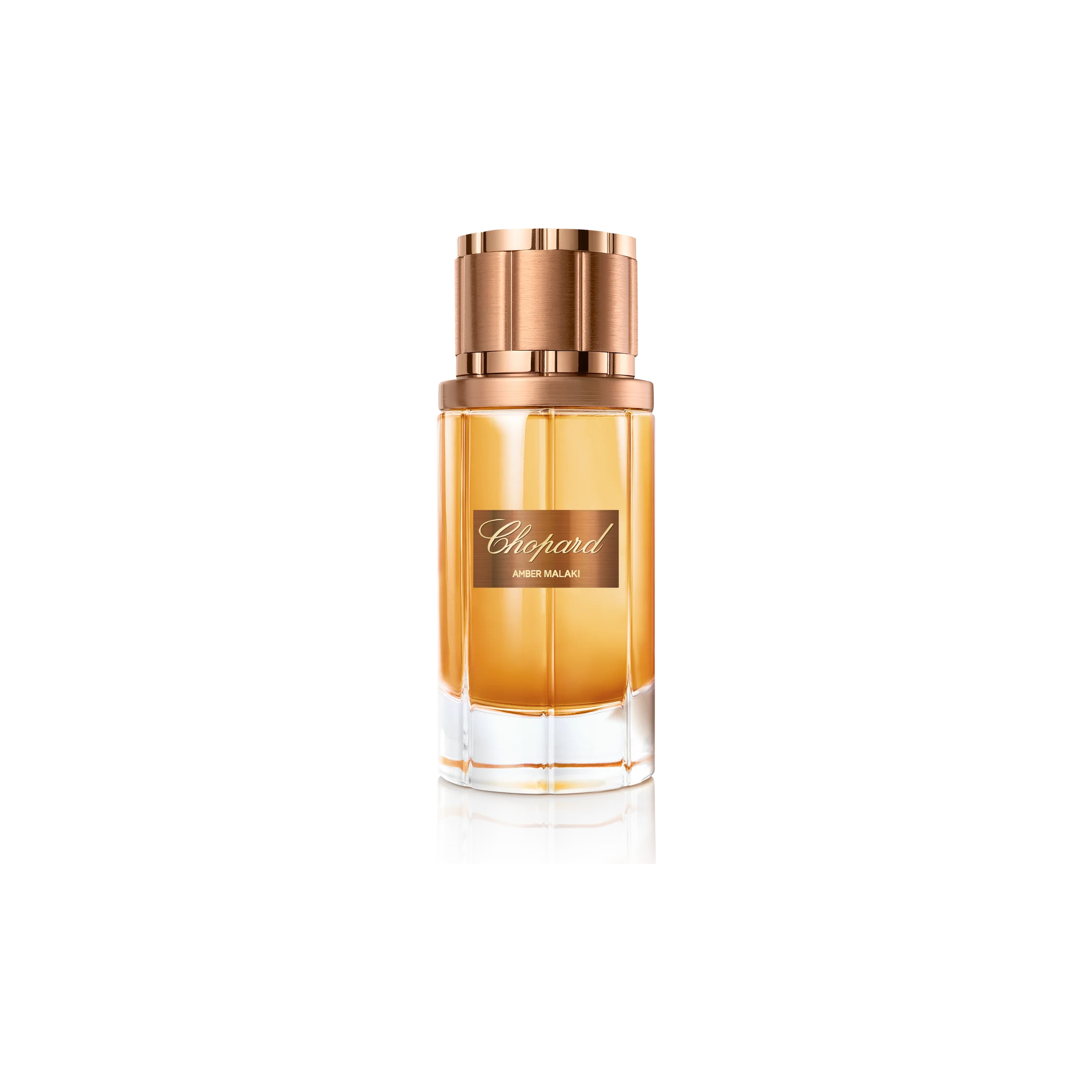 Amber Maliki|Eau de parfum